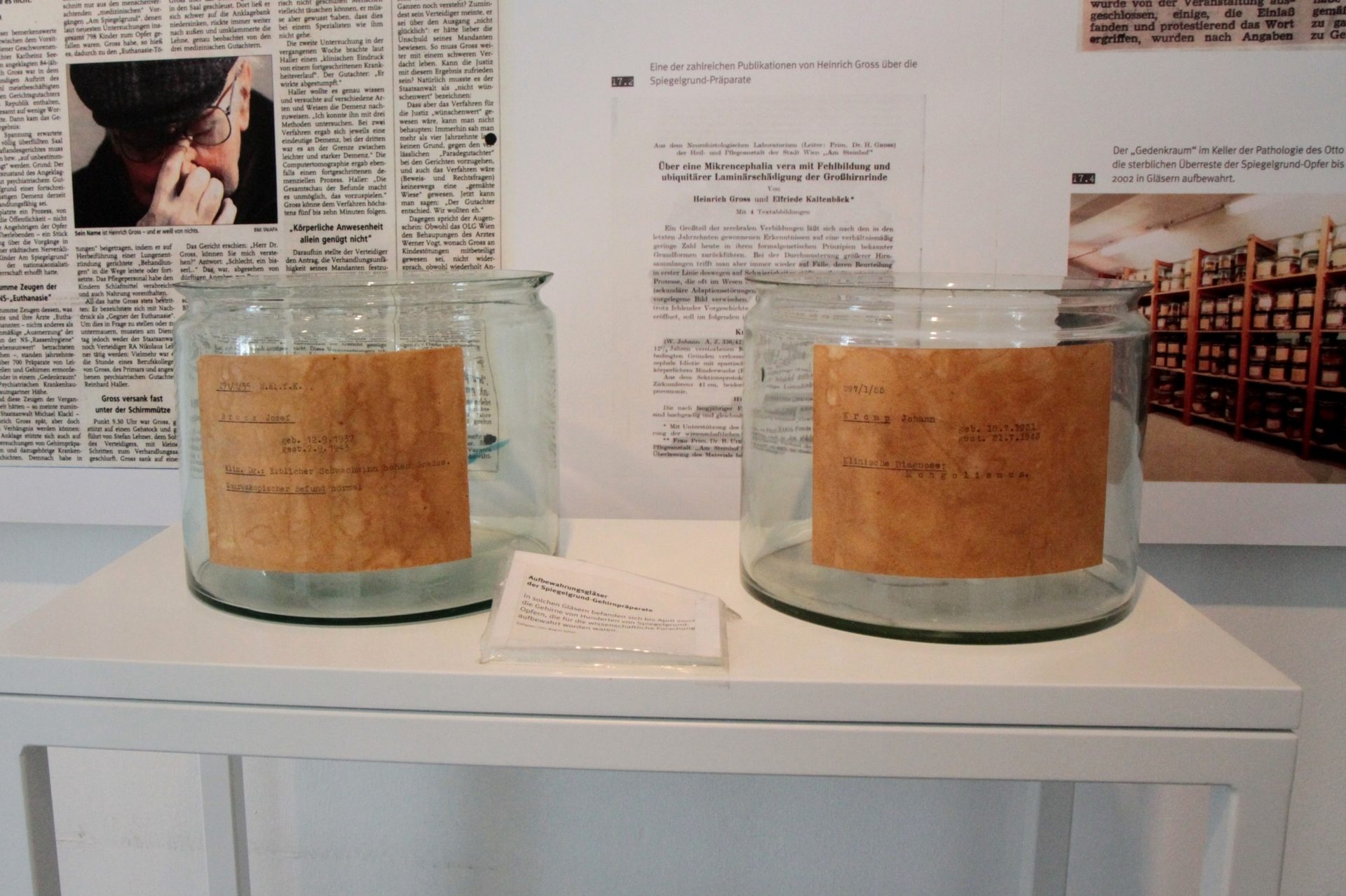 Pavilion 5 with historic exhibition, Steinhof Spital, Vienna - 13.JPG